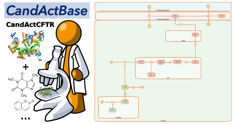 CandActBase logo - Subtitle CandActCFTR with systems biology map