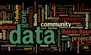 Wordcloud of the project